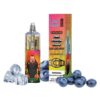 RandM Tornado 10000 Züge Blueberry Ice 20ml Einweg E-zigarette
